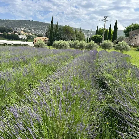 Bed & Breakfast La Maison De Piolon